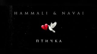 HammAli amp Navai  Птичка [upl. by Clary984]