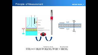 The Importance of Real Time CO2 Monitoring in Cell Culture [upl. by Amaris433]