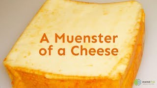 A Muenster of a Cheese [upl. by Rodenhouse]