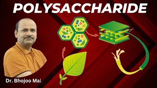 Polysaccharide  Carbohydrate  Class 11 Biology  by Dr Bhojoo Mal [upl. by Asus]