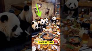 Amazing Panda Facts 🐼🥢🍃 [upl. by Amada]