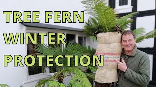 Tree Fern WINTER CARE [upl. by Leibarg646]