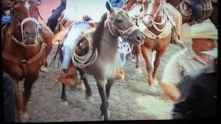 Jaripeo en el Quelital Gzar slp71816 parte 2 [upl. by Adihsar930]