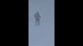 FullOn Winter Storm Skiing w Ski Legend Andrew McLean Tuesday at Alta UT [upl. by Oicneserc]