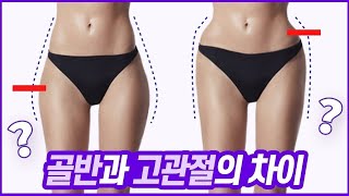 셜록뷰티 ORIGINAL 골반과 고관절 넓은 체형의 차이점  ft장원영손나은강소라아이유 셜록뷰티🔎 [upl. by Jael358]