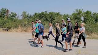 Truffle Hunting Experience in Tuscany by Great Italy Tour [upl. by Kcirdled]