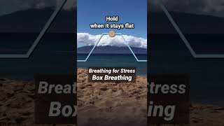 Breathing for Stress Box Breathing [upl. by Kurys472]