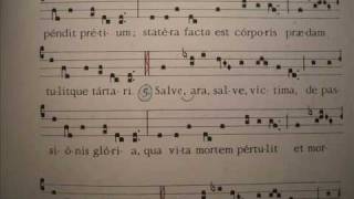 VEXILLA REGIS Inno Schola Gregoriana Mediolanensis Giovanni Vianini Milano Italia Gregoriano Ambrosiano studio e pratica in liturgia [upl. by Foss]