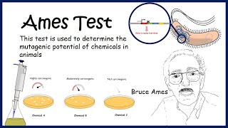 Ames test  Technique to determine mutagenic potential [upl. by Atinod]