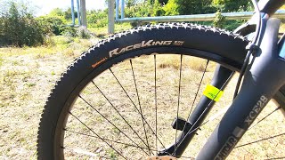 Continental Race King Performance 29 22 Bicycle Tires Review [upl. by Smail390]