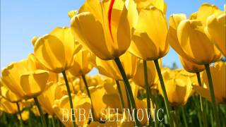 BEBA SELIMOVIC  Ah moj Aljo [upl. by Elleimac]