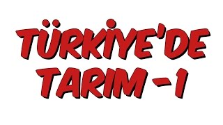 10dk da TÜRKİYEDE TARIM 1 Tonguc Akademi Talha DOGAN [upl. by Barnaby397]