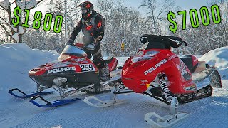 Old Race Sled vs Freshly Built IQR  Cheap vs Spendy Racing Snowmobiles [upl. by Neenwahs975]