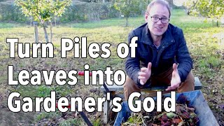 How to Make Leaf Mold Turn Fallen leaves into gardeners gold [upl. by Haliak]