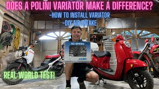 Polini Variator Install and Testing  Honda MetropolitanRuckus [upl. by Hodge]