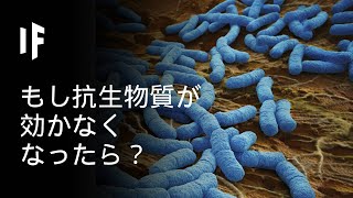 もし抗生物質が効かなくなったら？ [upl. by Eussoj]