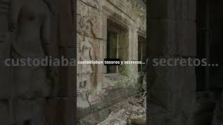 La Ciudad Blanca ¿Construida por Gigantes 🗿🌿 [upl. by Alcine]