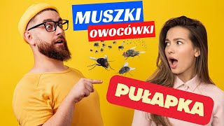 Najlepsza PUŁAPKA na muszki owocówki 🪰🪰🪰 Jak się ich pozbyć  Wabik w kilka minutDomowe produkty 😎 [upl. by Areit]