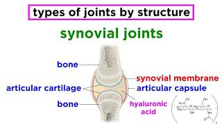 Hip Joint Range of Movement  3D Medical Animation  ABP © [upl. by Eelinnej]