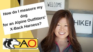 Harness Measuring for an Alpine Outfitters XBack Harness Made Easy [upl. by Nerrual834]