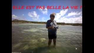 Voile RC classe Marblehead en RC sailing Marblehead class Guadeloupe [upl. by Yzmar]