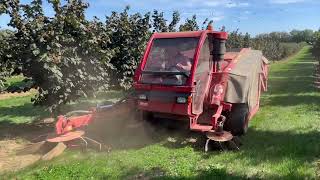 Hazelnut harvest with X16 by AMB ROUSSET [upl. by Aidaas]