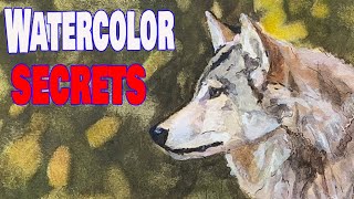 Mother Wolf With a Pup  Watercolor Secrets  Animals [upl. by Adaurd]