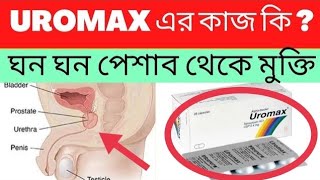 Uromax এর কাজ কি  ঘন ঘন পেশাব হওয়ার কারন কি  Uromax Details Medicine Review [upl. by Akenom]