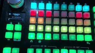 Empress Zoia Euroburo  « Fader » made of pushbuttons [upl. by Sej]