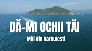 MILIDINBARBULESTI  DAMI OCHII TAI  Video Official [upl. by Eynahpets]