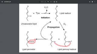 شرح بسيط عن peroxidation [upl. by Jerrold]