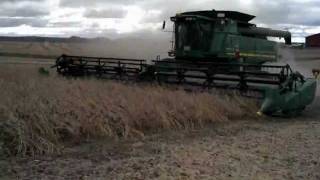 John Deere 640FD Draper Head Demo w 9770STS Combine [upl. by Elon980]