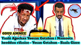 ODUU GADDAA Yaalii Ajjechaa Yoosan Getahun i Namoota heedduu rifasise  Yosan Getahun  Baala Gizee [upl. by Drooff]