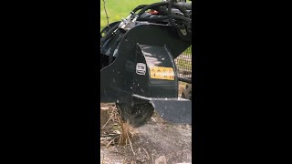 Standard Series Stump Grinder [upl. by Sanfred]