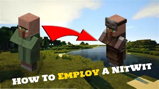 How to employ a NitWit Villager in Minecraft [upl. by Rap]