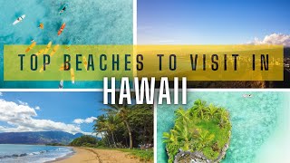 Best Hawaii Beaches [upl. by Novaelc]