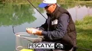 TRUCCHI per PESCARE con i PASTURATORI GALLEGGIANTI e canne Tubertini  floating feeder fishing [upl. by Ardnael]