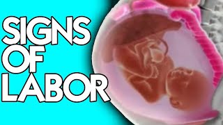 2 Signs of Labor from a Midwife Are You IN LABOR  Losing Mucus Plug vs Water Breaking [upl. by Walters923]