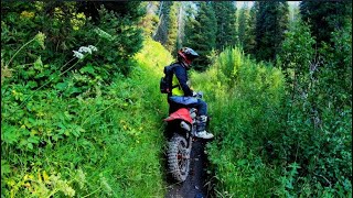 Riding Canyon Creek Idaho Swan Valley [upl. by Magbie]