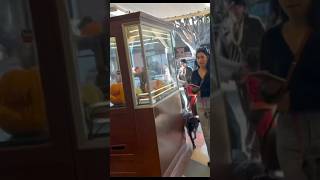 Santa Monica Movies Trick Or Treaters Free Popcorn Candy subscribe youtubeshorts short shorts [upl. by Ahtabat]