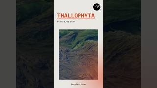 Division Thallophyta Class 11 Biology shorts biology [upl. by Marmawke]