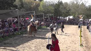 Jousting Tournament  Sherwood Forest Faire 2014 Charlie Andrews amp Ryan Scammon [upl. by Nylssej644]