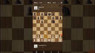 Stafford Gambit  Chess  Chess Explained [upl. by Chico]