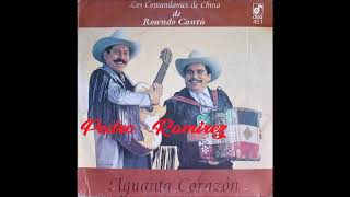 Los comandantes de china de Rosendo cantu canto a mi madre [upl. by Annauqal]