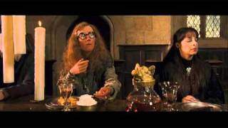 Hilarious Harry Potter Deleted Scene [upl. by Haig]