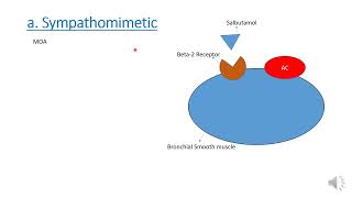 Antiasthmatic drugs [upl. by Mick]