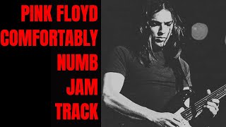 Comfortably Numb Jam Pink Floyd Style Guitar Backing Track B Minor [upl. by Galatia]