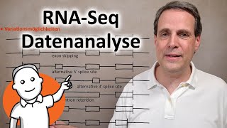 Genexpression untersuchen mit RNASeq [upl. by Aisital914]