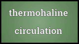 Thermohaline circulation Meaning [upl. by Yanej]