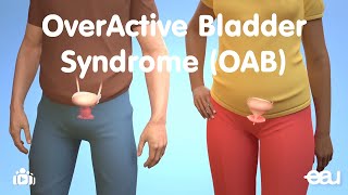 OverActive Bladder Syndrome [upl. by Dolf]